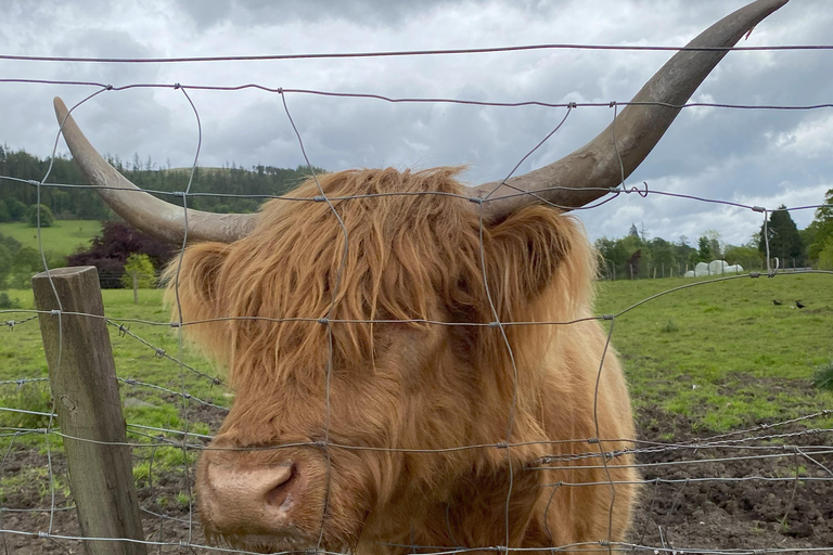 Au départ d'Édimbourg : Excursion privée d'une journée à Glencoe et Loch Lomond