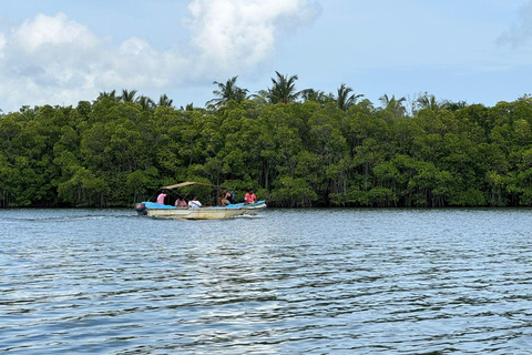 Koggala Lake Private Boat Tour with Dinesh
