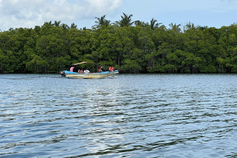 Koggala Lake Private Boat Tour with Dinesh