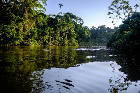 River Day Tour - Manaus + Digital Visitor Kit