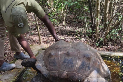 ZANZIBAR: Jozani Forest, butterfly center & Reptile park PRIVATE TOUR INCLUDES TRANSFER