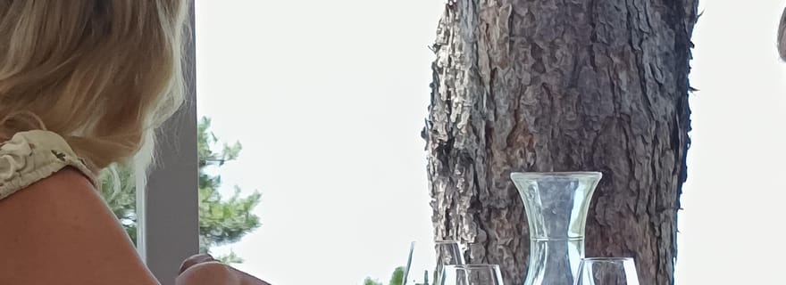 Visite œnologique dans le canton de Vaud - Vignobles de Lavaux