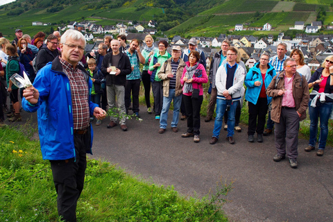 Reil, Mosel: Guided organic wine tasting and cellar tour