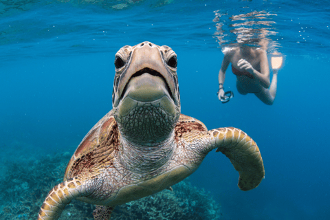 Cairns: Great Barrier Reef Pontoon, Travel by Helicopter Heli Flight to the reef, Heli flight back to Cairns