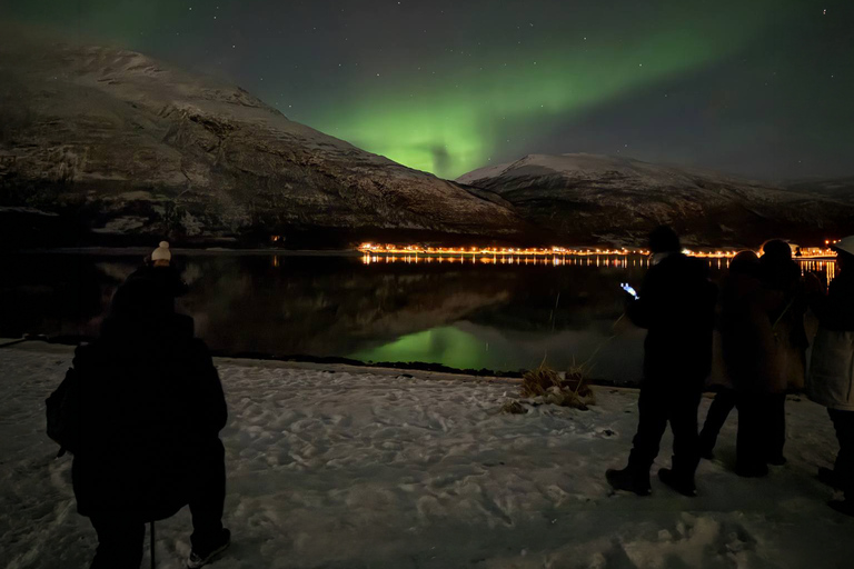 Tromsø: Northern Lights Tour with Photos & Snacks