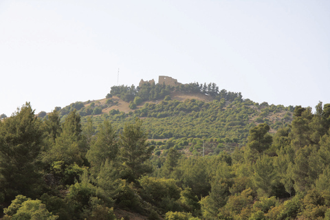 Escursione a Jerash e al Castello di AjlounEscursione di un giorno a Jerash e al Castello di Ajloun