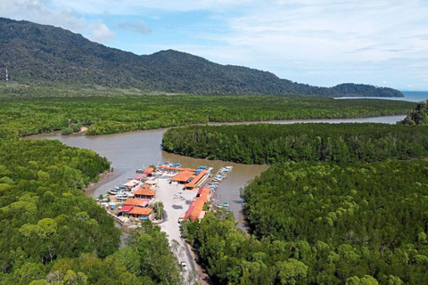 Langkawi: 1 Hour Private Mangrove Kilim Geoforest Boat Tour