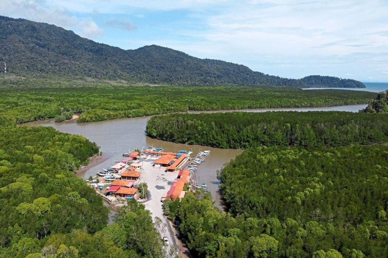 Langkawi: 1 Hour Private Mangrove Kilim Geoforest Boat Tour