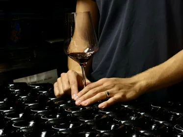 Bologna: Boutique Winery Tour mit Weinverkostung und Essen