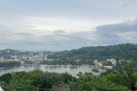 The Best Kandy Tuk-Tuk city Tour with a Professional Guide