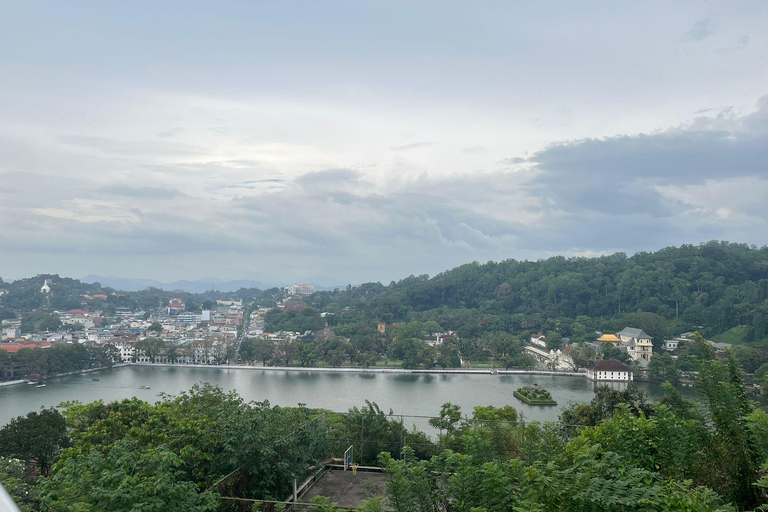 The Best Kandy Tuk-Tuk city Tour with a Professional Guide