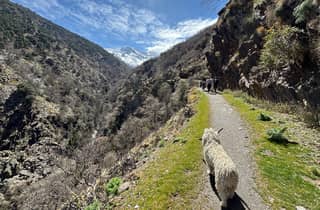 Granada: Wanderung in der Sierra Nevada auf 3000 Meter Höhe
