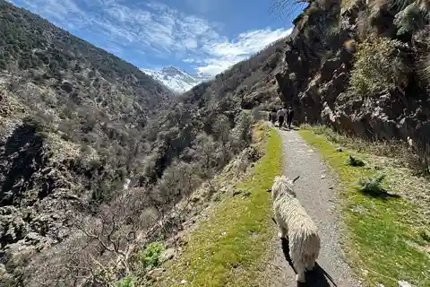 Depuis Grenade : Haute Sierra Nevada 6 heures de randonnée