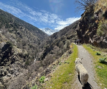 Granada: High Sierra Nevada Hiking Tour to 3000 Meters