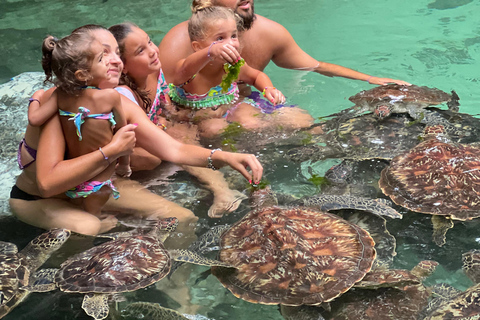 Zanzibar: Swim with Turtles Sanctuary Tour