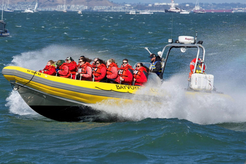 San Francisco Bay Small-Group Adventure Cruise 90 min Adventure Cruise