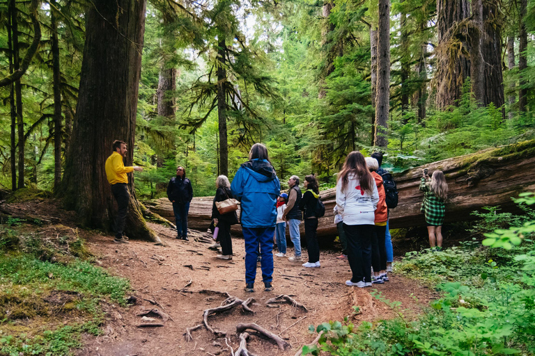 From Seattle: Mount Rainier National Park Guided Tour