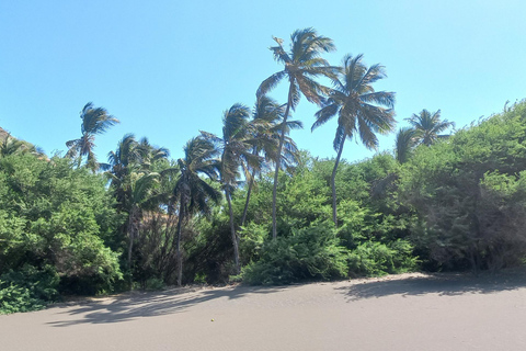 Odkryj plażę z czarnym piaskiem i naturalny basen