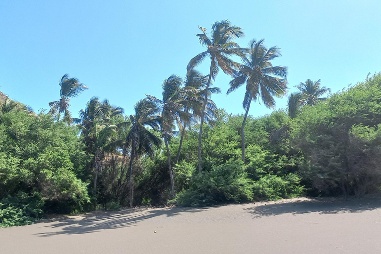 Odkryj plażę z czarnym piaskiem i naturalny basen