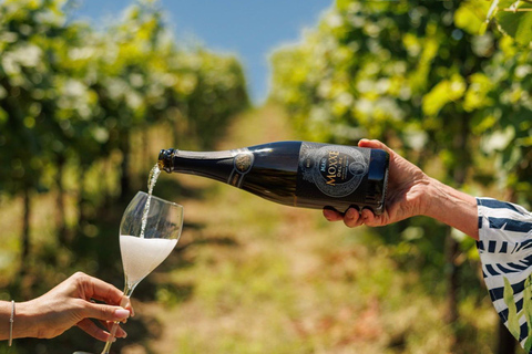 Munich: Italian Wine Tasting & African Art