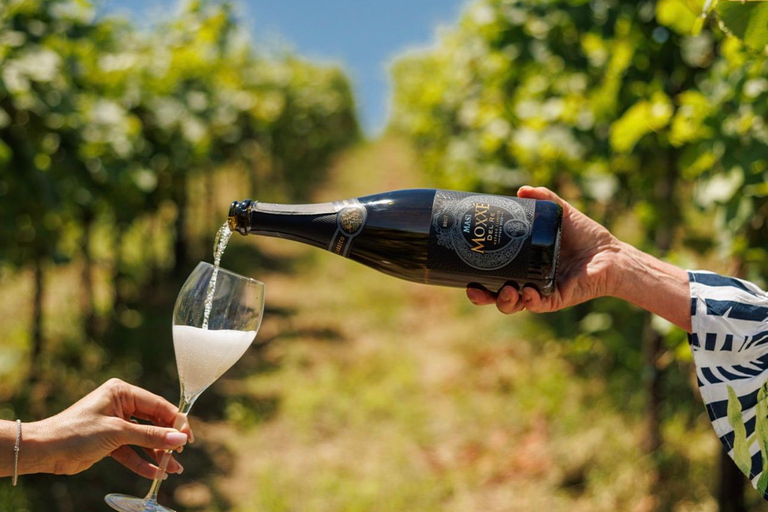 Munich: Italian Wine Tasting & African Art