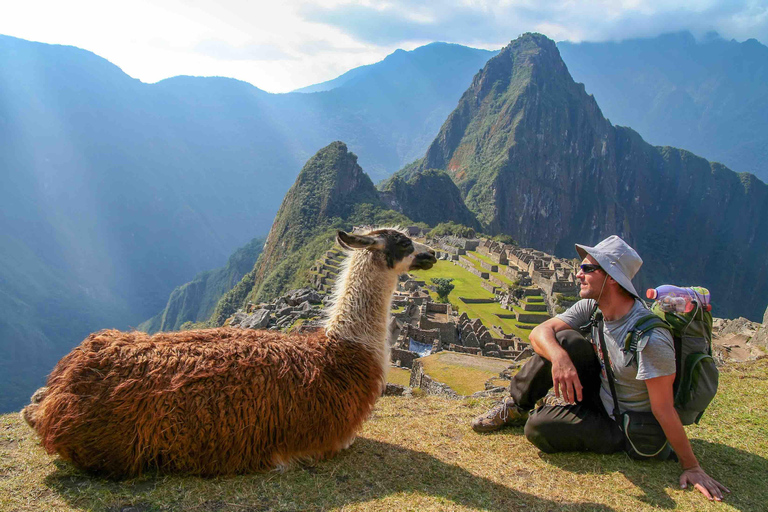 Cusco: Inca Jungle All Inclusive Tour 4D 3N