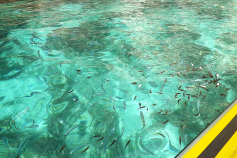 Blue Lagoon:Malta Crystal Lagoon, Comino,Private Speedboat