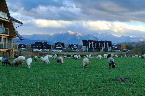 Krakau: Zakopane en Thermaalbaden Tour met ophaalservice vanaf je hotel