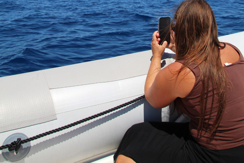 Cala d'Or: Dolphin sightseeing tour with dolphin watching Cala d'Or: Sightseeing tour with dolphin watching