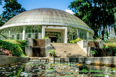 Von Colombo - Tagestour nach Kandy/ Pinnwala/ Royal Gardens