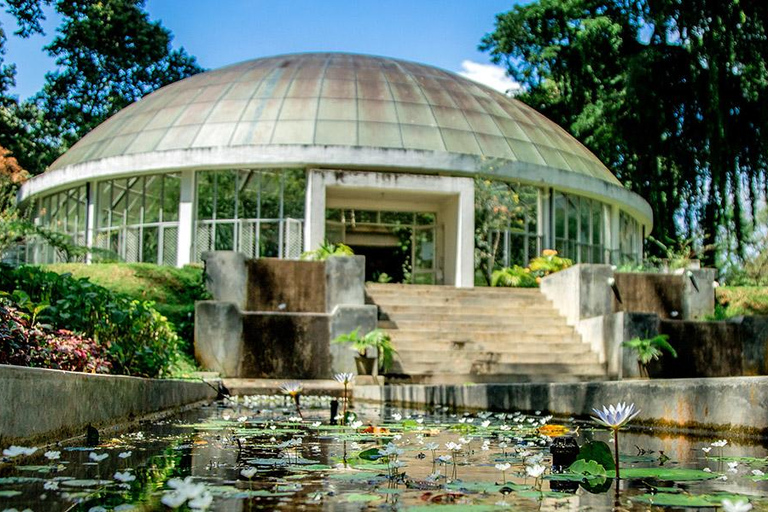 Au départ de Colombo - Excursion à Kandy/ Pinnwala/ Royal Gardens