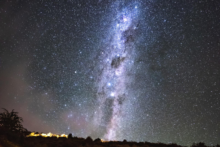 Tawharanui : Tour de repérage des kiwis et d'observation des étoiles avec séjour optionnelCircuit standard