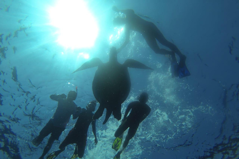 Lombok: Private Glass-Bottom Boat Tour with Snorkeling