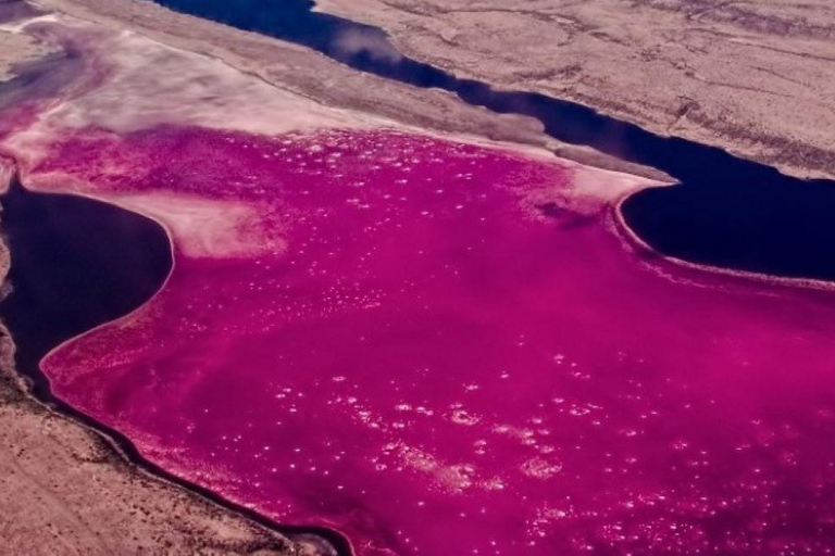 From Nairobi: Lake Magadi 2-Day Trip with Game Drive & Hike