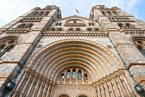 Discover Fossils & Gems at Natural History Museum