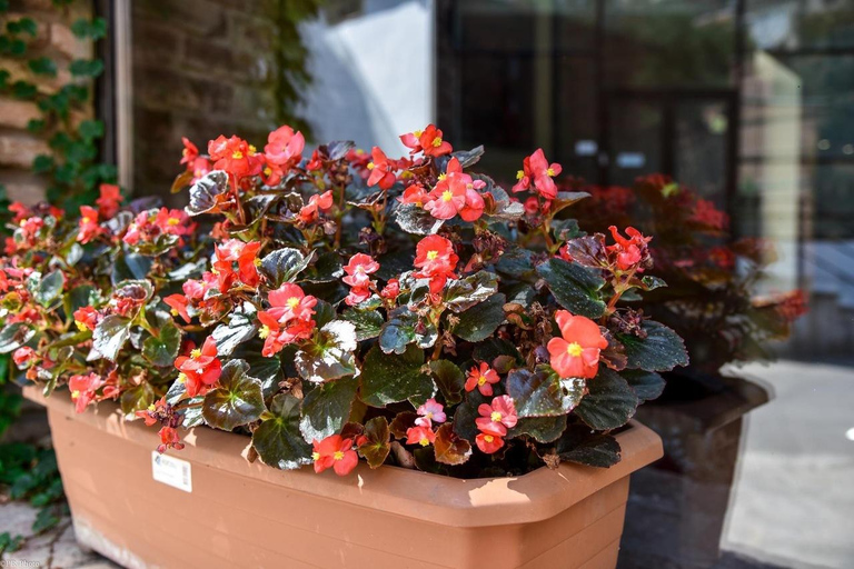 Tbilisi: 3-daags verblijf met stadstour en verborgen juweeltjes