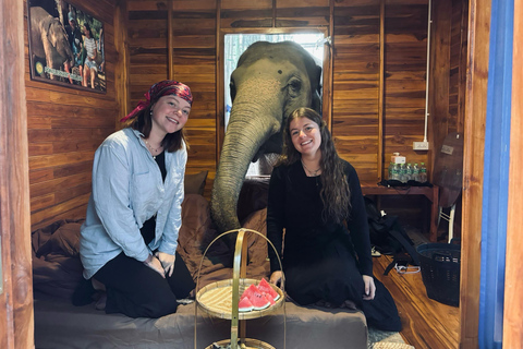 Chiang Mai 2-Day : Good Morning Elephant &amp; Overnight Homestay