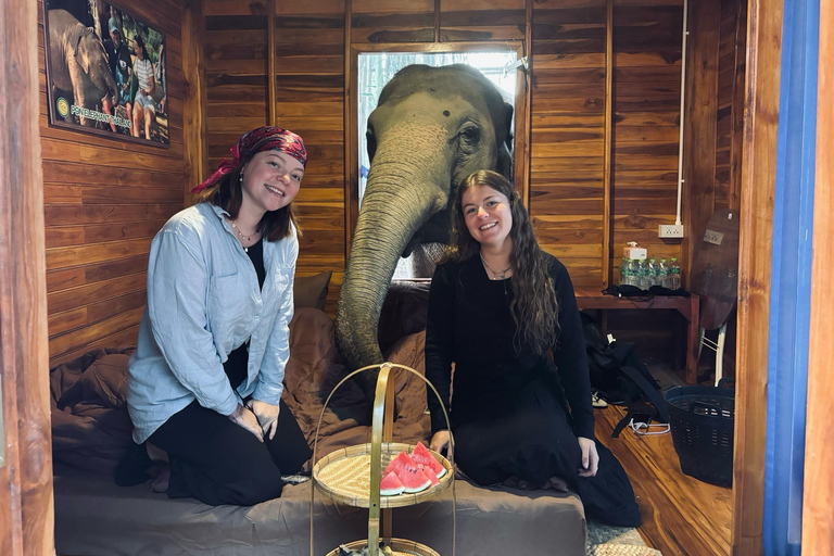 Chiang Mai 2-Day: Good Morning Elephant & Overnight Homestay