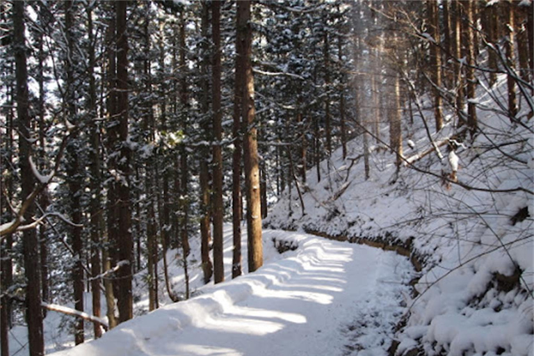 Tokyo: Nagano Snow Monkeys or Shrine or Snow Hut Day Trip Package 2: Togakushi Shrine Itinerary