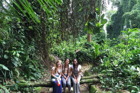 From Kampala: Entebbe Zoo, Reptile Village, & Gardens Tour