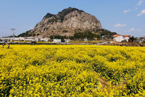 Jeju Trendy Café Tour and When Life Gives You Tangerines