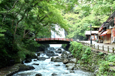 Osaka: Excursão de 1 dia a Minoh, Templo Katsuoji e Cataratas de Minoh