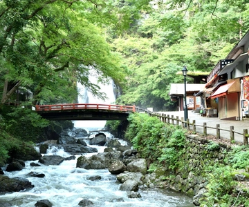 Osaka: Minoh, Katsuoji Temple, & Minoh Falls Full-day Tour
