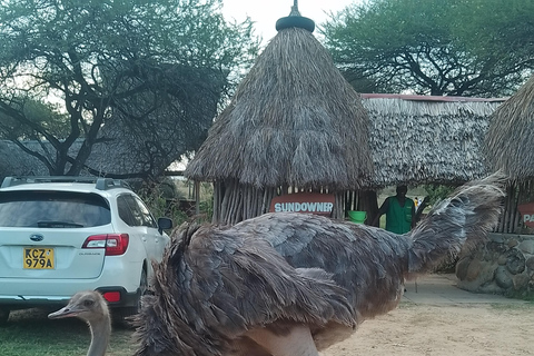 Mombasa: Wildlife Sanctuary Guided Nature Trail Tour Wildlife Sanctuary Guided Nature Trail Tour