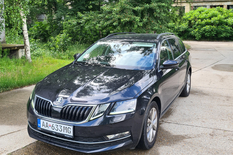 Vienna: Private transfer to Stuttgart or Stuttgart to Vienna