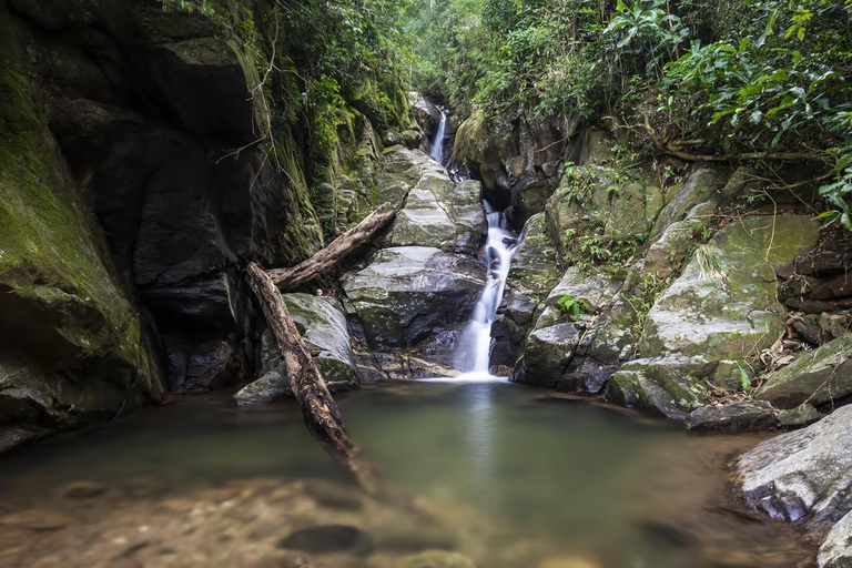 Rio: Christ the Redeemer and Tijuca Forest Tour