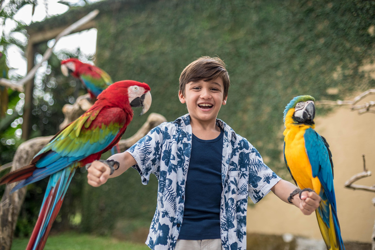 Parque de aves de Bali: ticket de un día