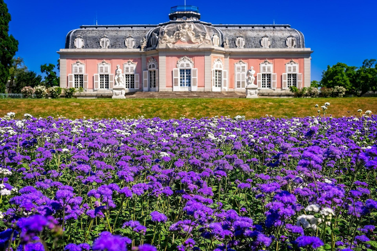 Tour guidato privato della città di Dusseldorf