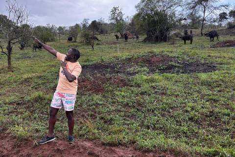 Bwindi: 3-Day Gorilla Trekking & Lake Mutanda Experience