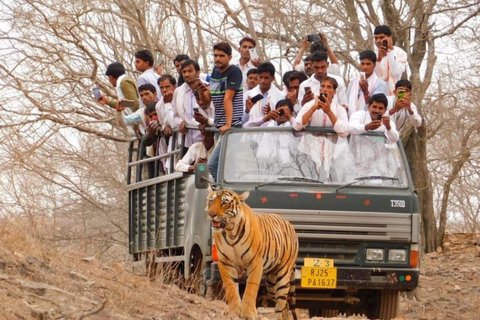 From Jaipur: Jhalana Leopard & Ranthambore Tiger Safari Tour